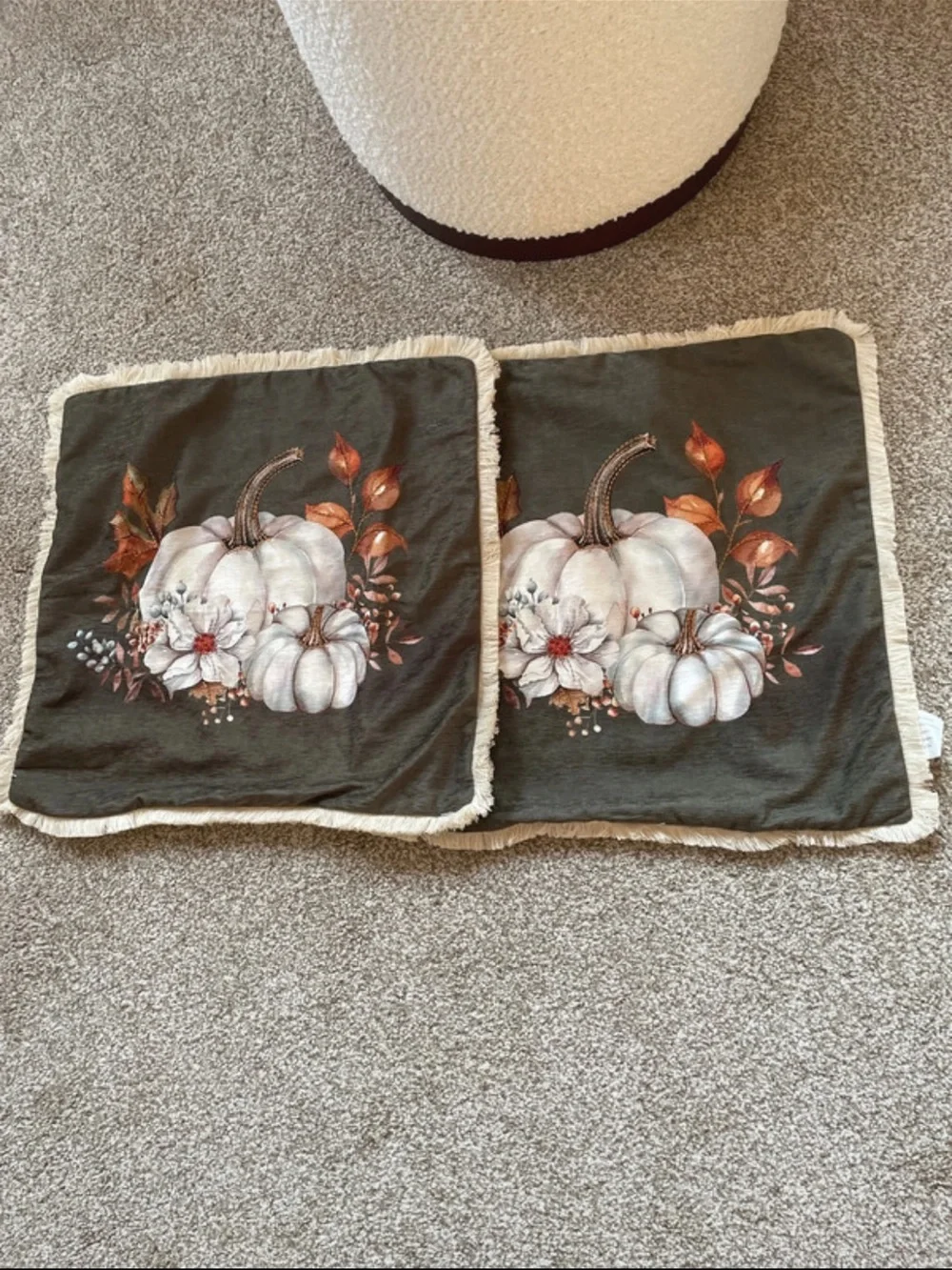 Harvest Pumpkin Decorative Pillow Cover